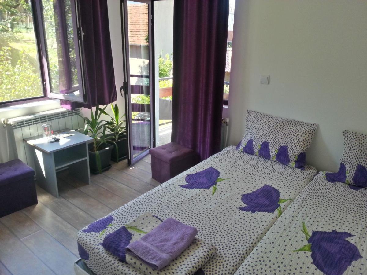 Guest House Bedrock Belogradcic Exterior foto