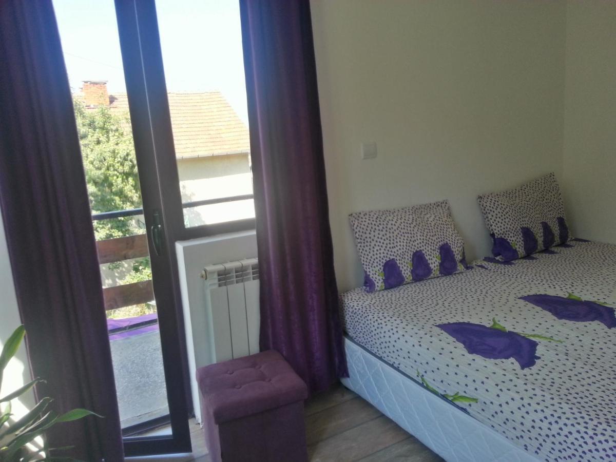 Guest House Bedrock Belogradcic Exterior foto